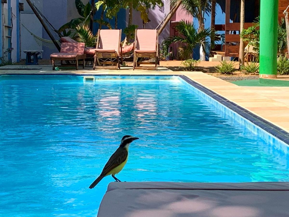 Pousada Janela Da Cor Jijoca de Jericoacoara Exterior foto